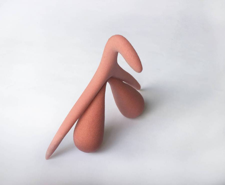 Clitoris 3D Version 2
Autrice : Odile Fillod