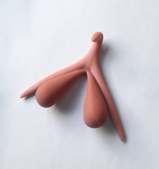 Clitoris 3D Version 2
Autrice : Odile Fillod