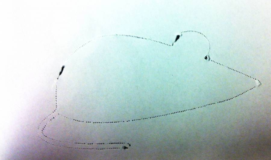 photo_souris_papier.jpg