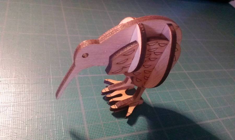 kiwi1.jpg
