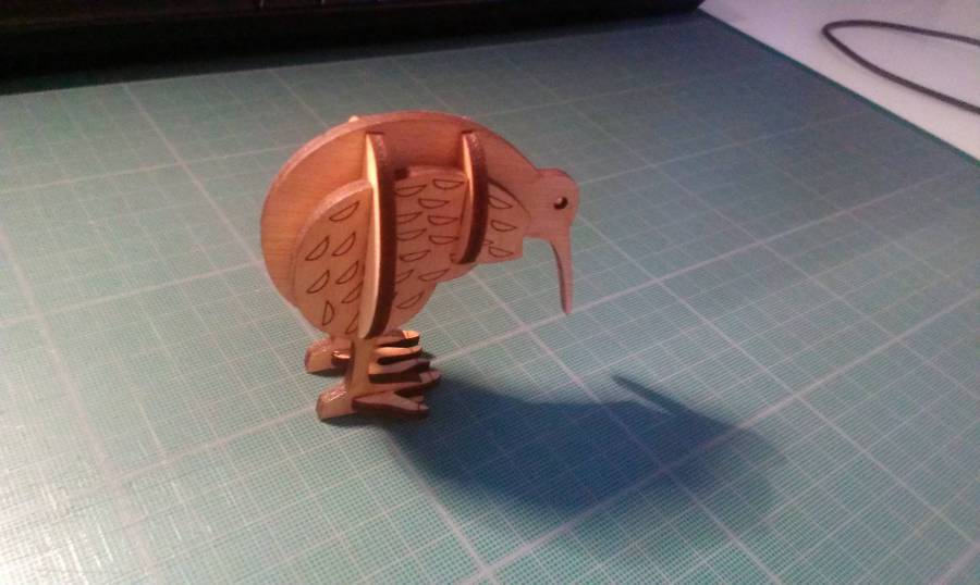 kiwi2.jpg