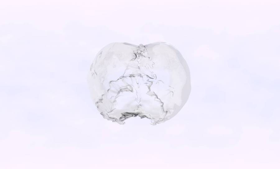 cerveau19.jpg