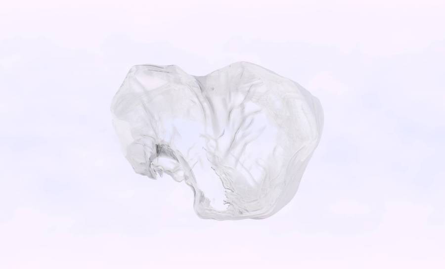 cerveau21.jpg