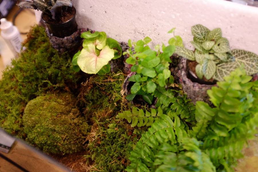 image004.jpg