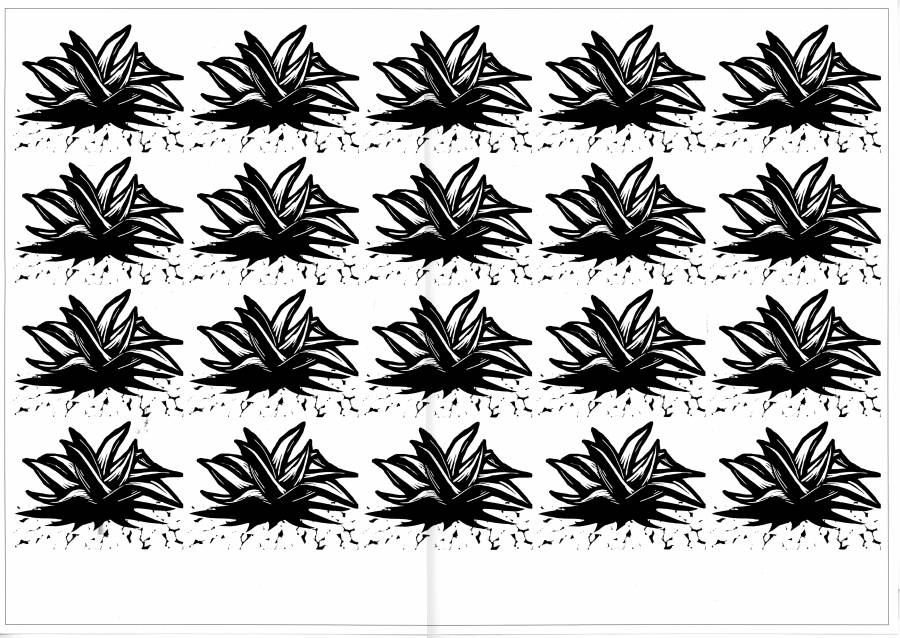 impression_agave.jpg