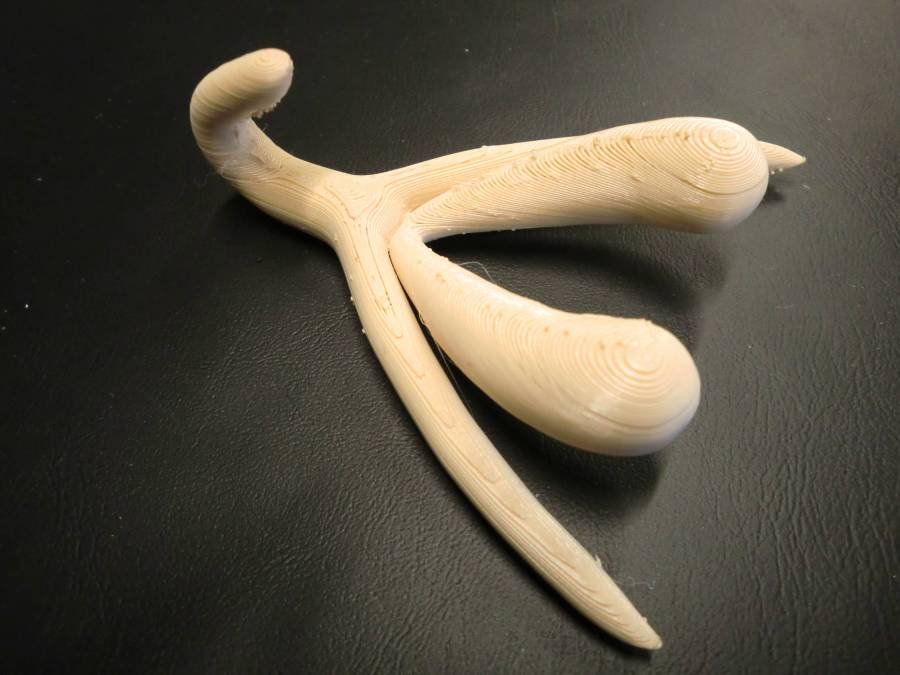 clitoris.jpg