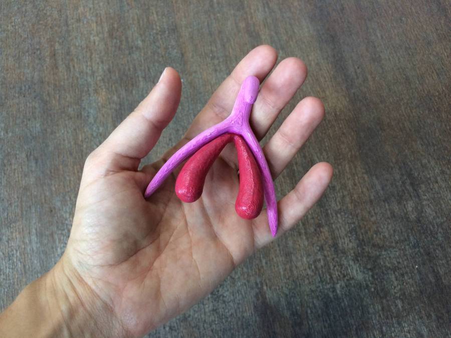 3D Clitoris
