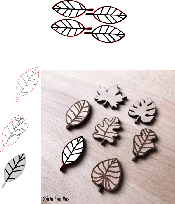 recheche_feuilles.png
