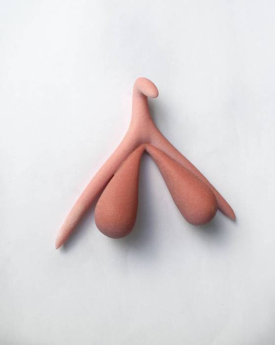 Clitoris 3D Version 2
Autrice : Odile Fillod